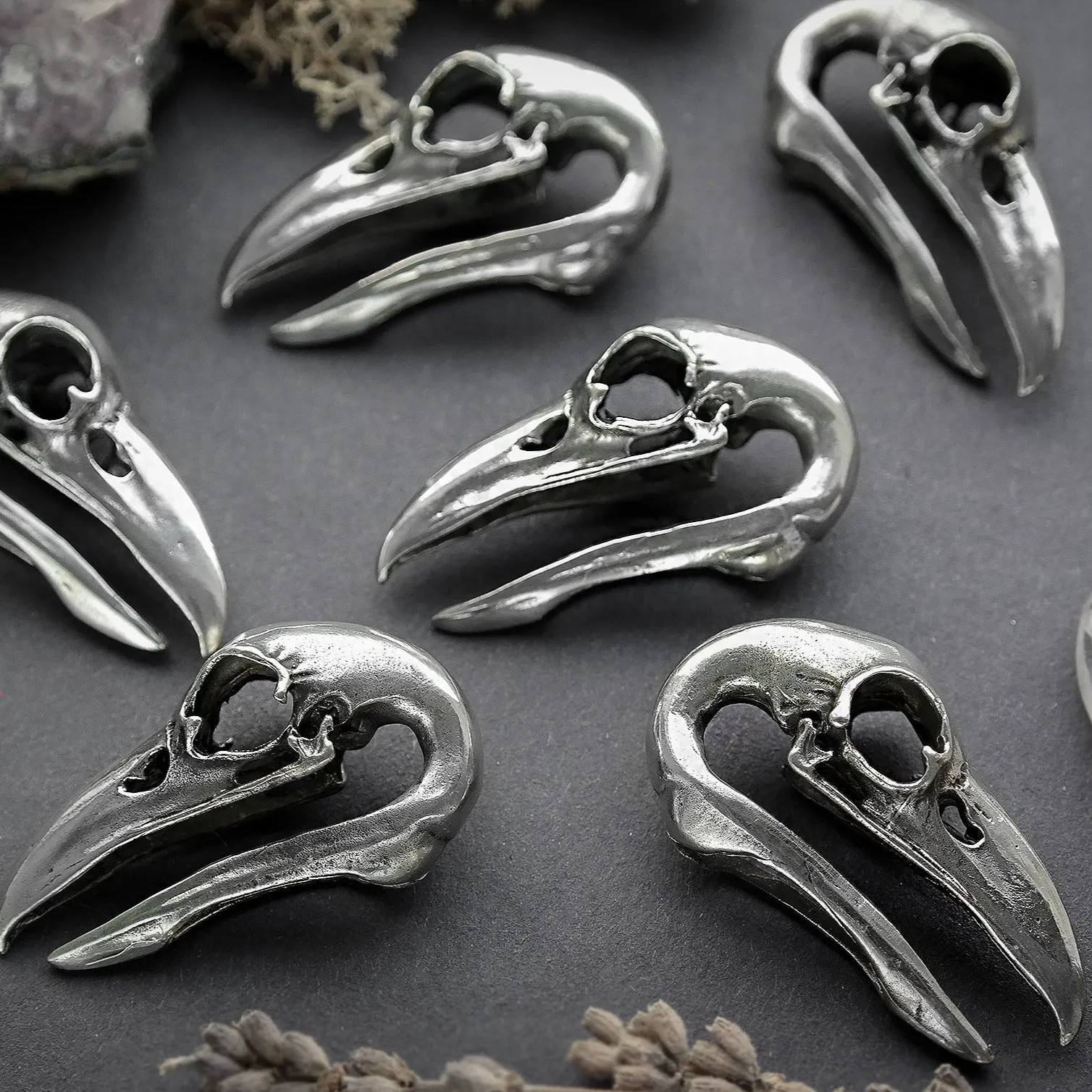 Silver Raven Skull Ear Weights