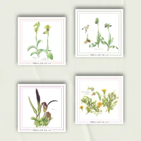 Wildflowers Notecards from Palestine | Set of 4 Greeting Cards in Browns